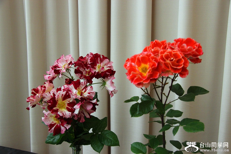 ���������ˮ 136_����.jpg