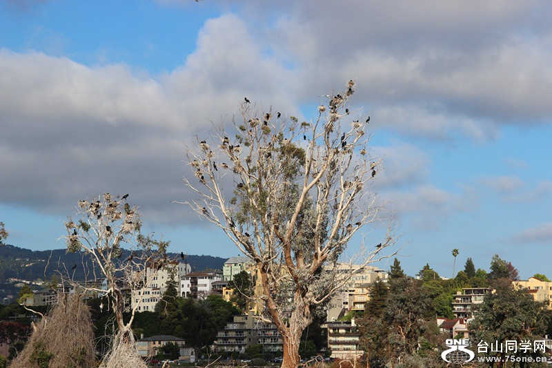 ���������ˮ 141_����.jpg