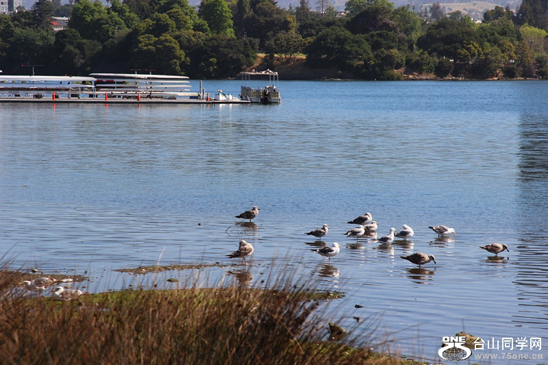 ���� 071_����.jpg