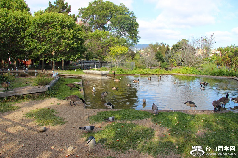 ���������ˮ 139_����.jpg