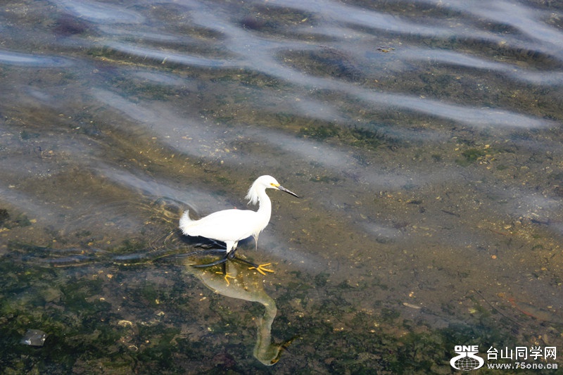 ���� 061_����.jpg