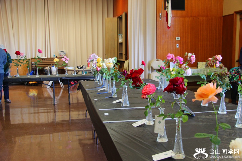 ���������ˮ 138_����.jpg