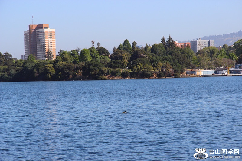 ���� 062_����.jpg