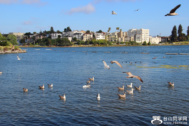 ���������ˮ 142_����.jpg