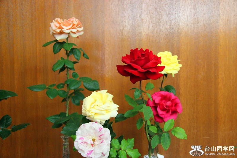 ���������ˮ 137_����.jpg