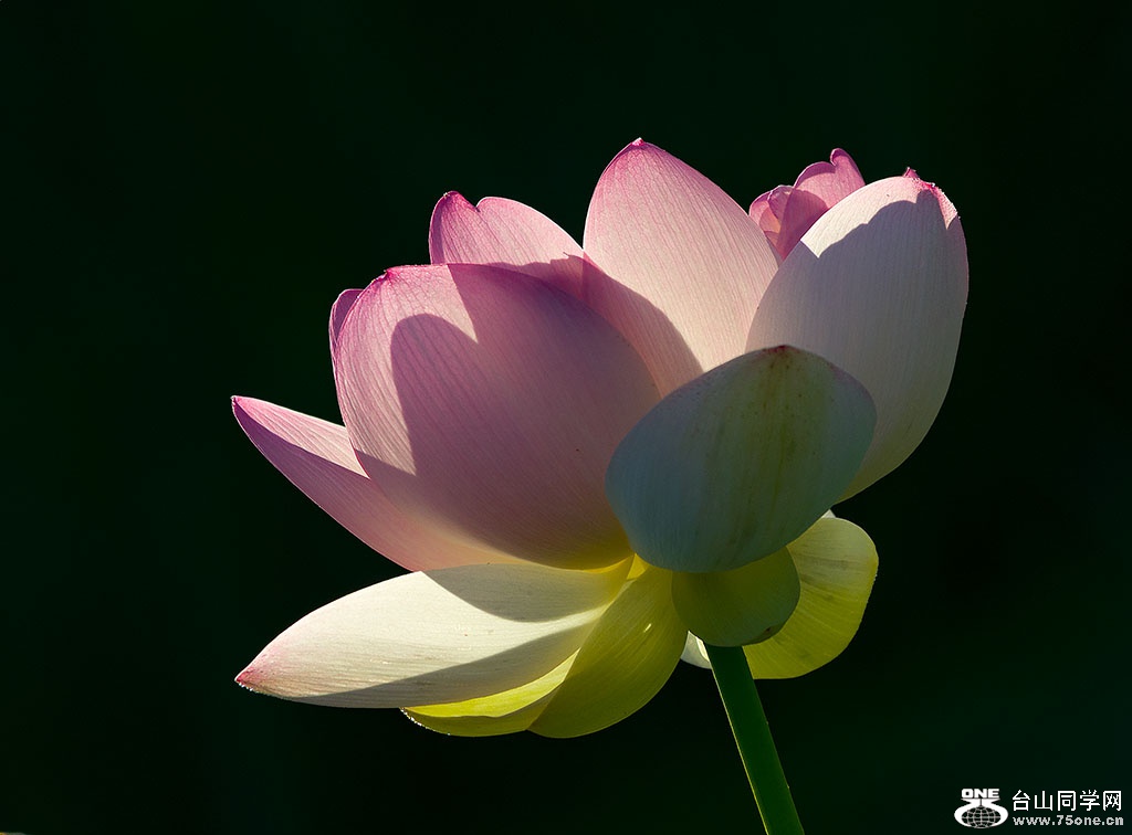 DSC_3989.jpg