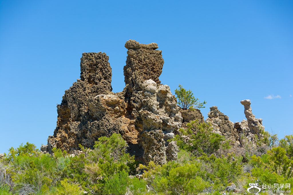 DSC_3558.jpg
