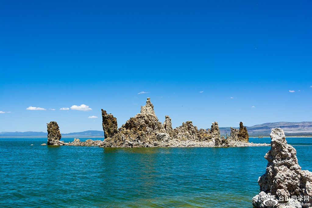DSC_3536.jpg