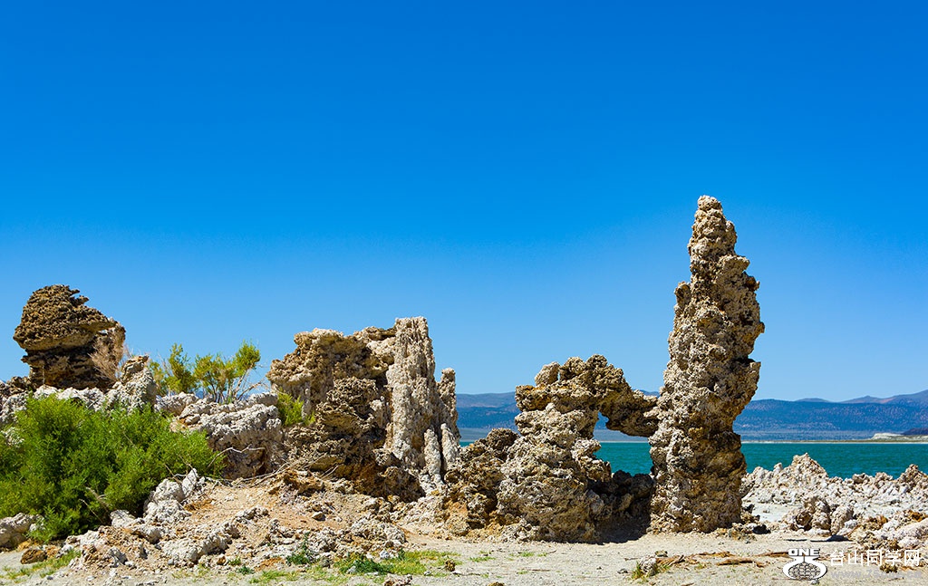 DSC_3561.jpg