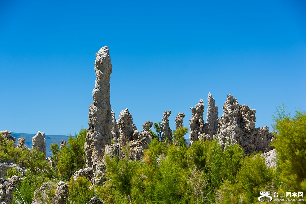 DSC_3522.jpg