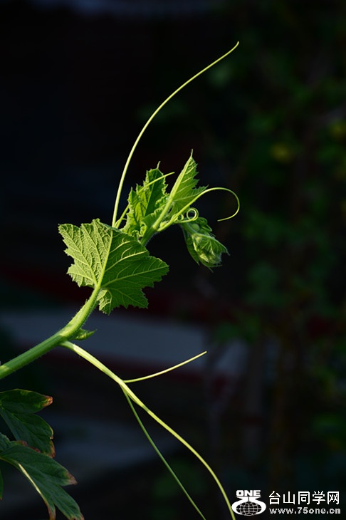 DSC_3870_.jpg
