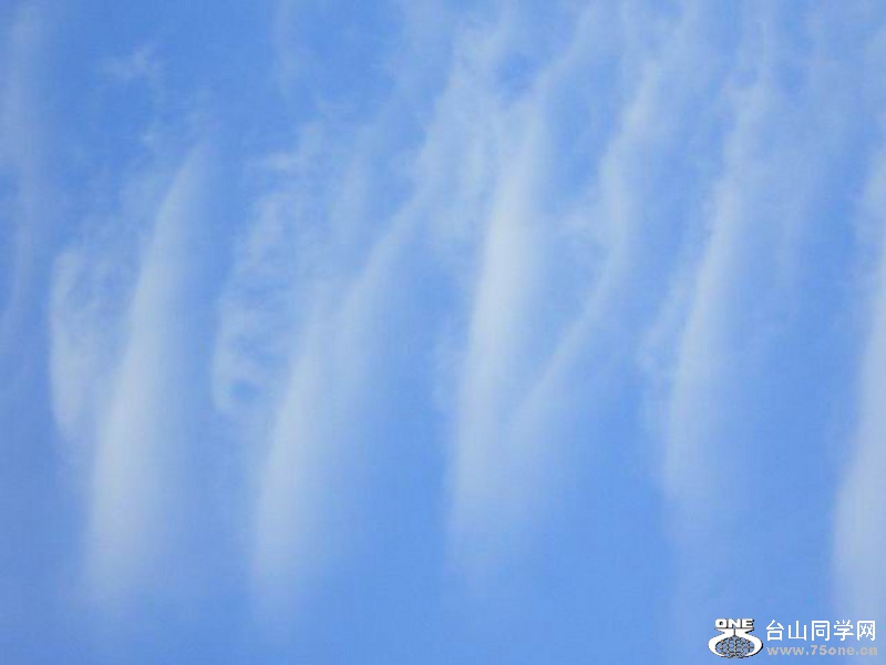 4DSC_2148_conew1.jpg