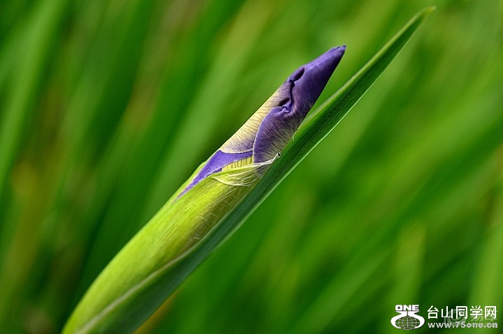 053d5d3bed4b4962a06c01af97599f2b_720_0_max_jpg.jpg