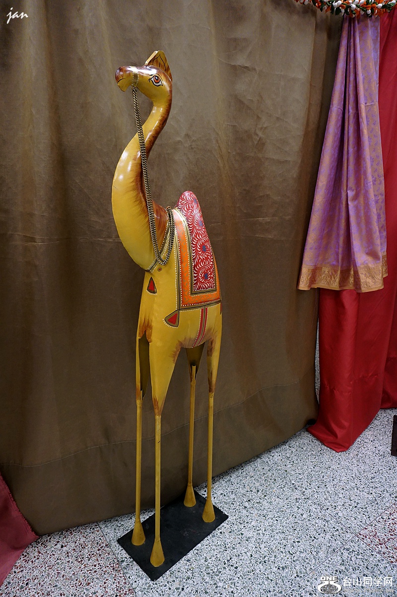DSC09091.JPG