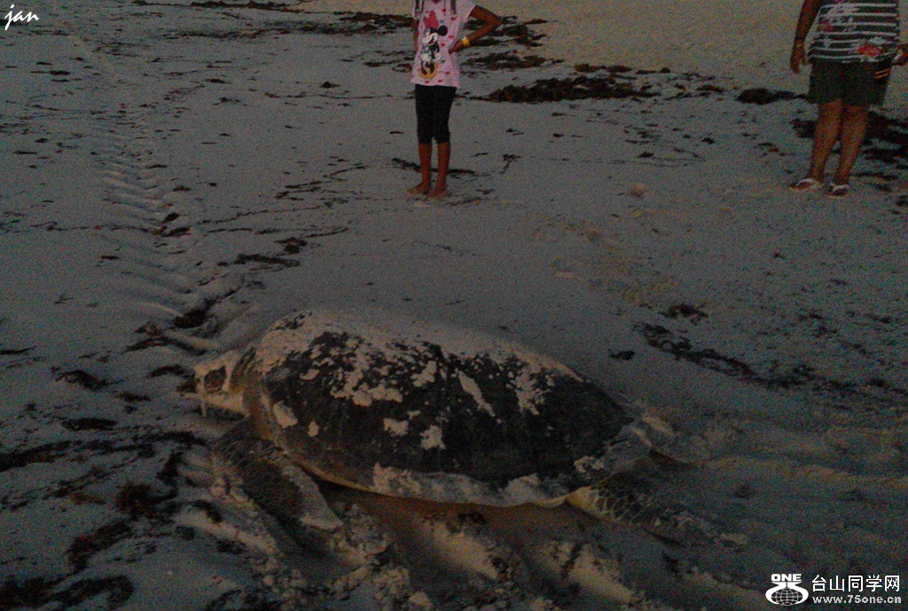 20150807_060101_.jpg
