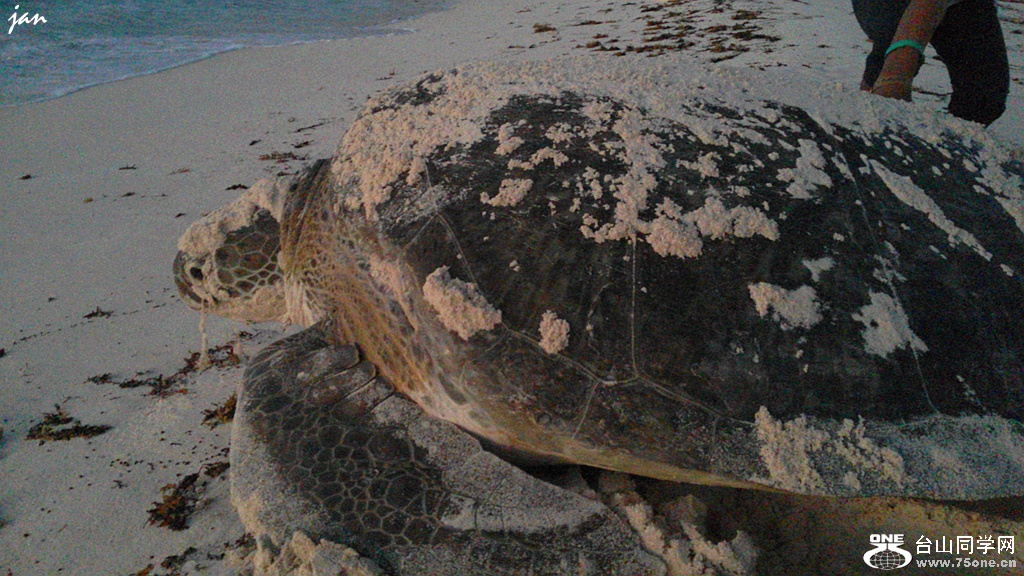 20150807_060211_.jpg