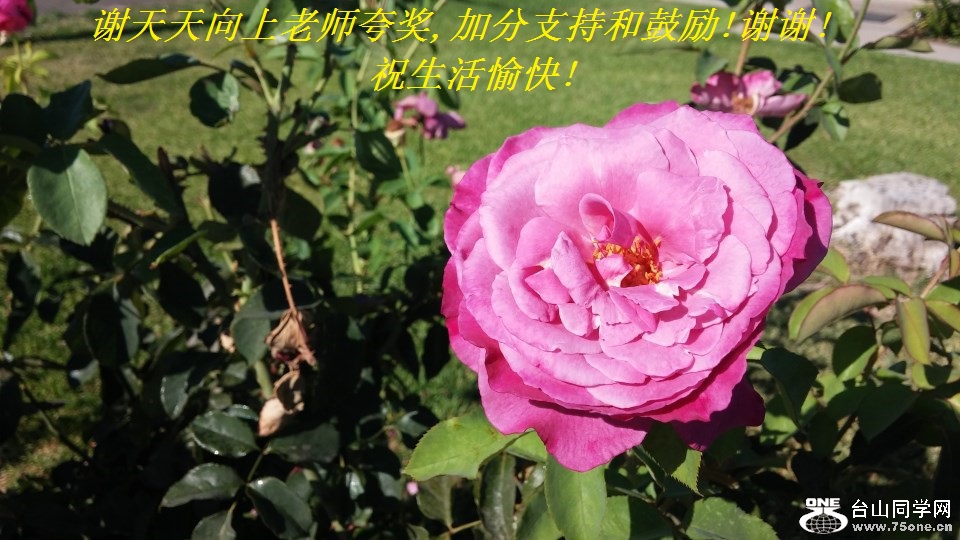 лʦ佱,ӷֺ֧͹!лл!ף!.jpg