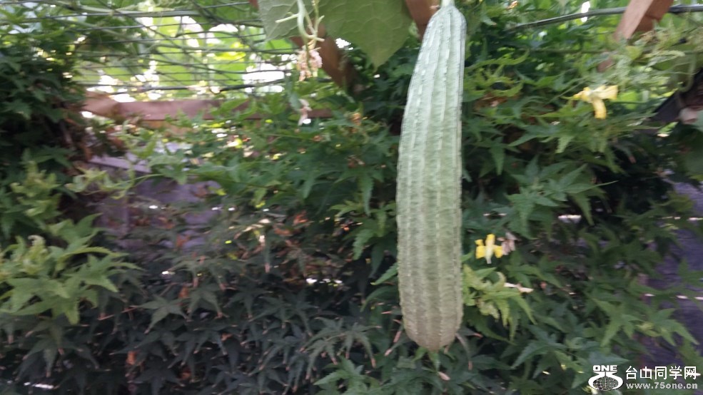 20150816_080910.jpg