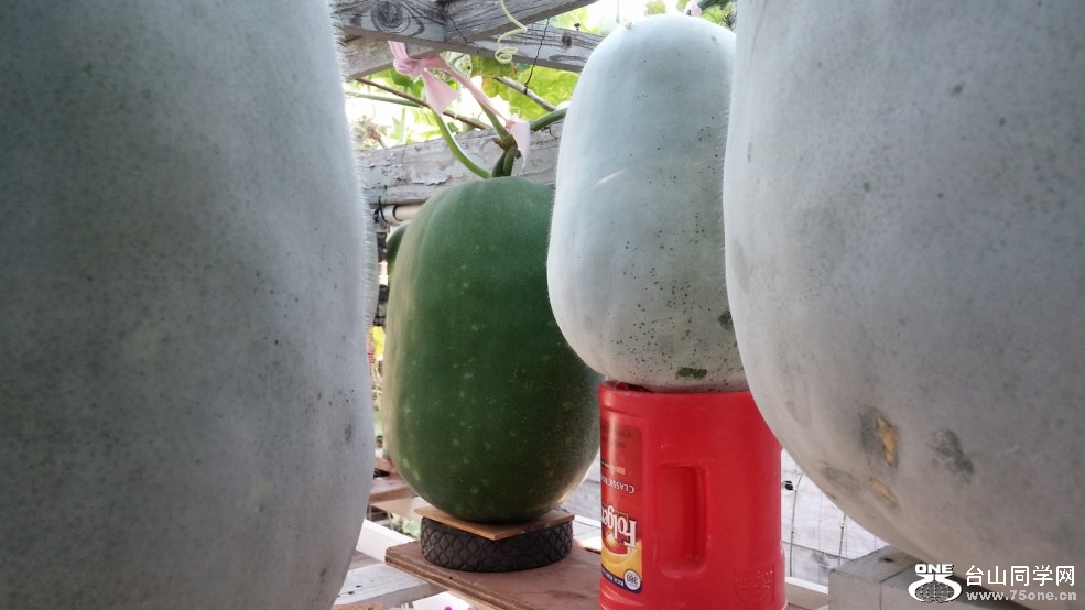 20150903_170219.jpg