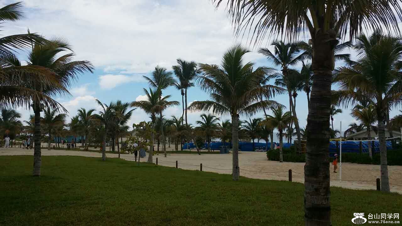 mmexport1440854438547.jpg