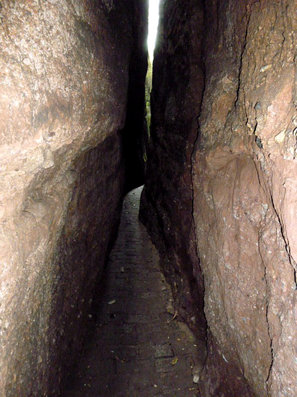 DSC_0177.jpg