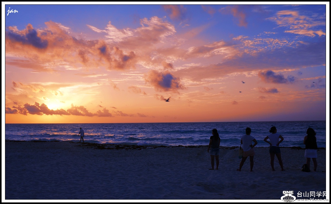 DSC08111 b.jpg