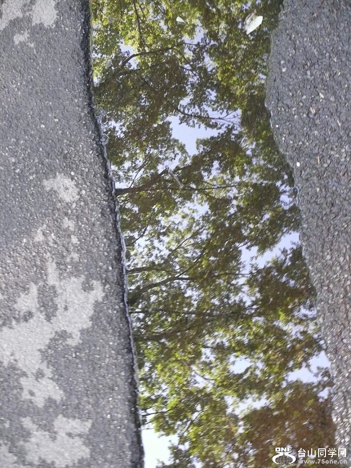 L2460066.JPG