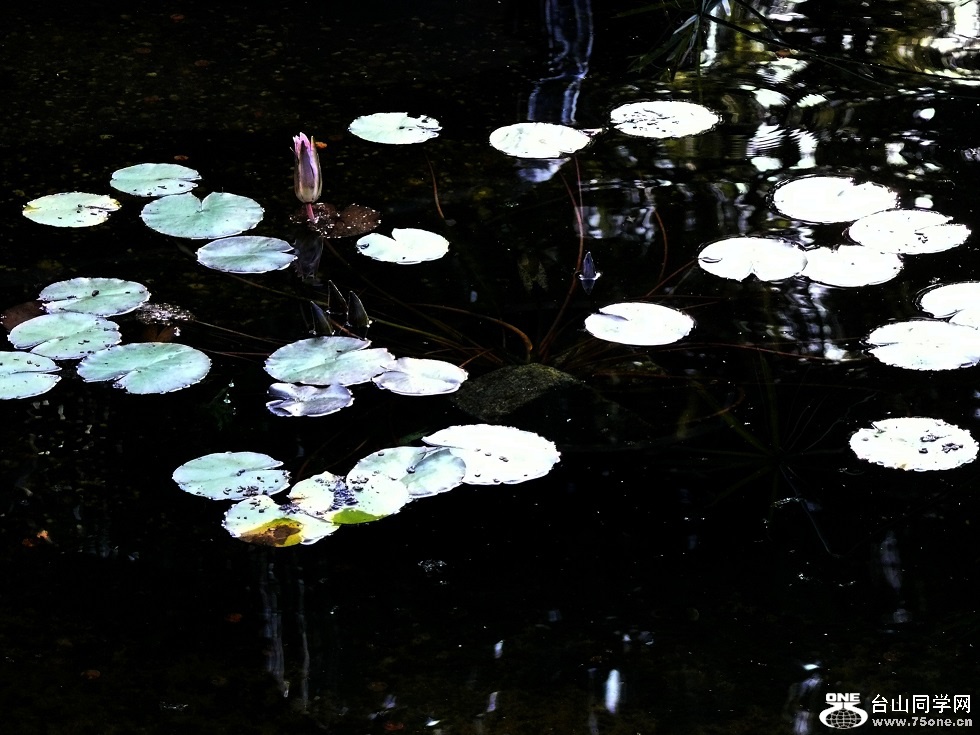 l2480090_conew1.jpg