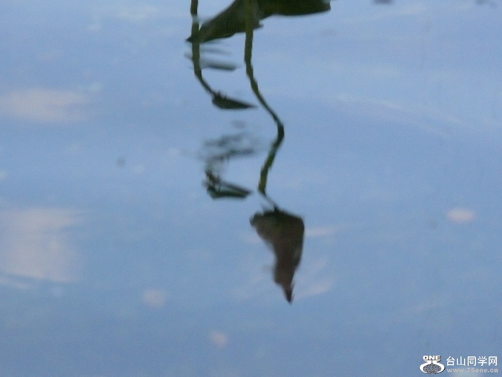 L2480005.JPG