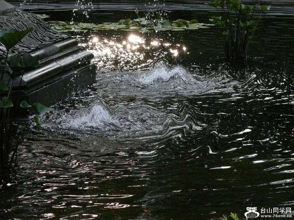 l2480094_conew1.jpg