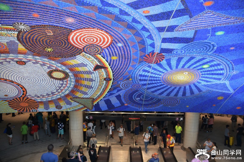 RON_8372 (800x533).jpg