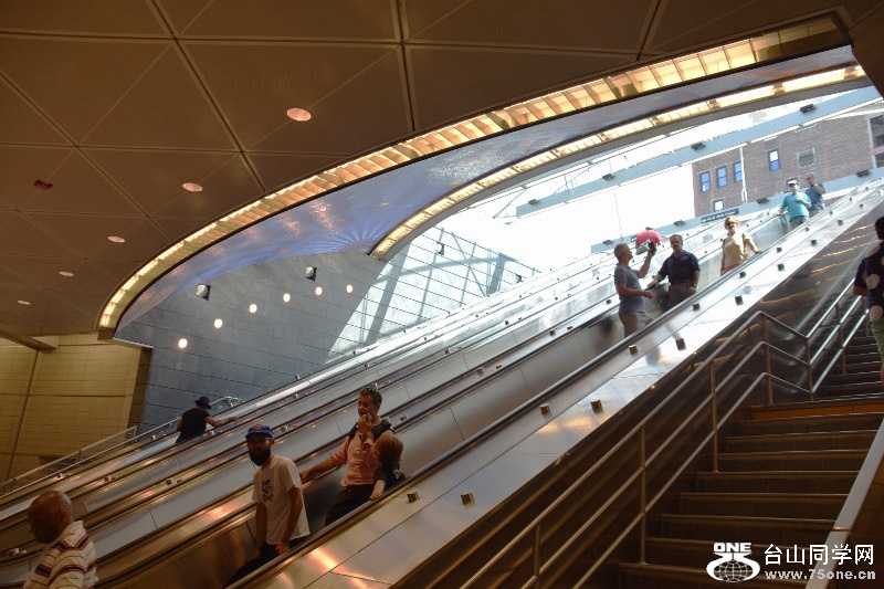 RON_8366 (800x533).jpg