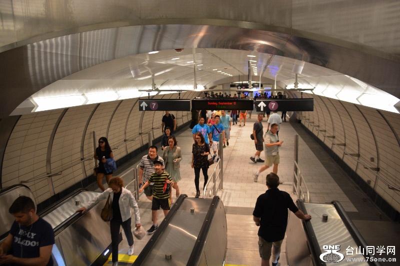 RON_8384 (800x533).jpg