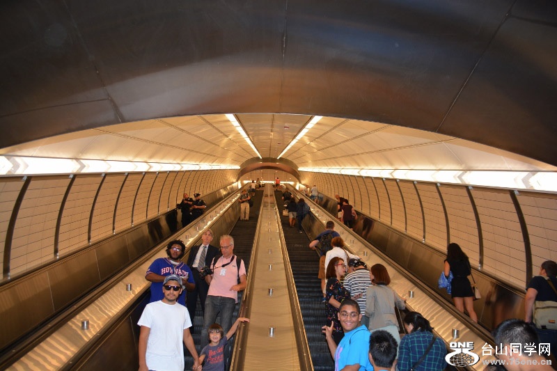 RON_8385 (800x533).jpg