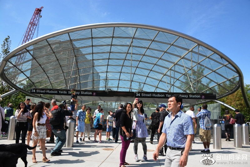 RON_8417 (800x533).jpg