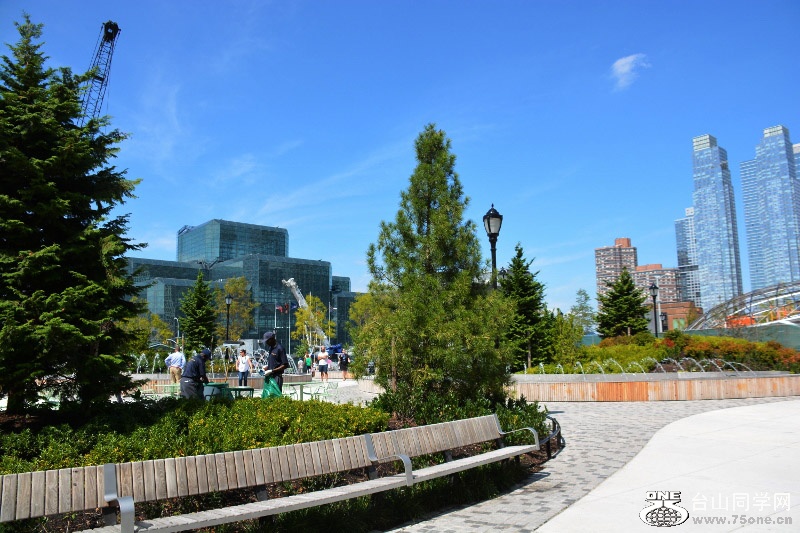 RON_8423 (800x533).jpg