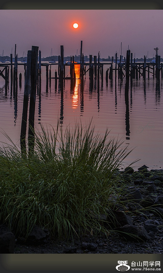 DSC_6511_.jpg