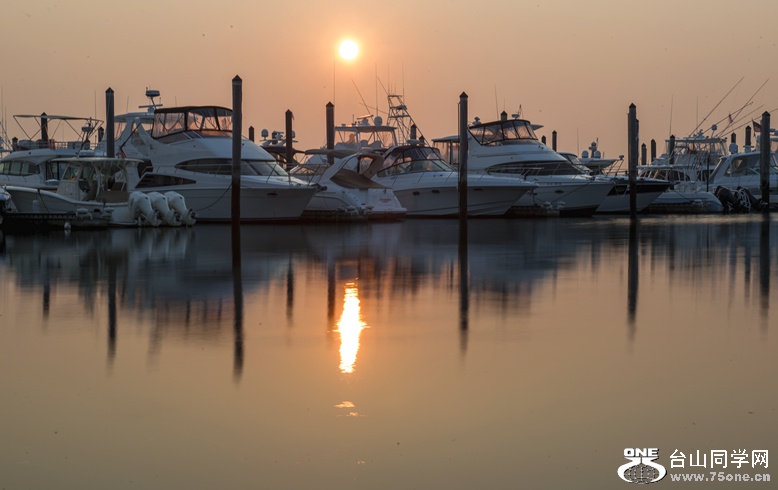 DSC_6536.jpg