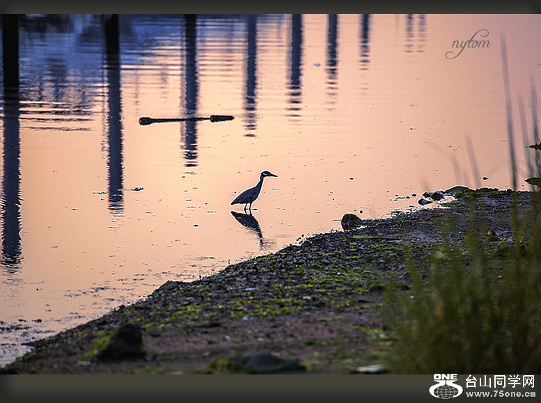 DSC_6611_.jpg