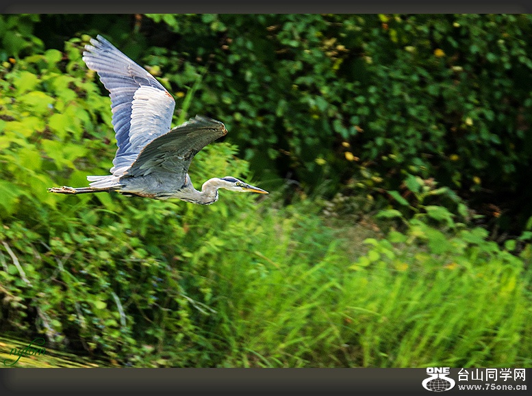 DSC_6199_.jpg