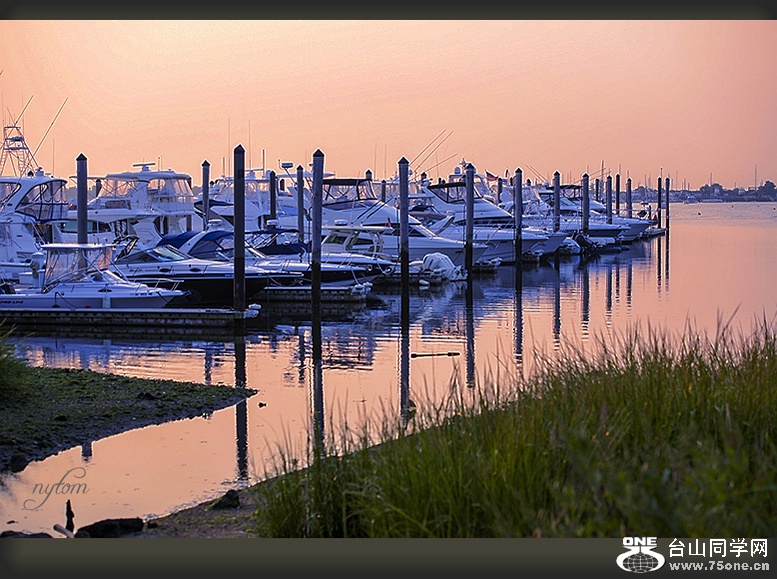 DSC_6597_.jpg