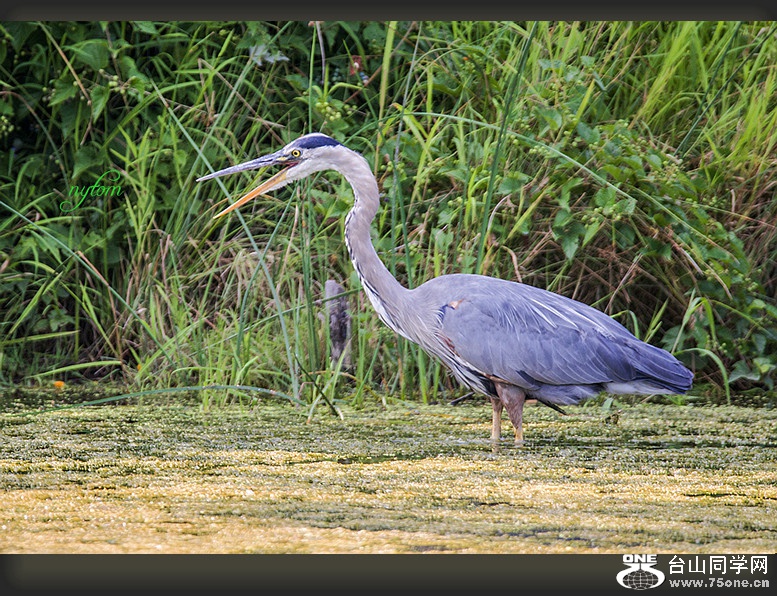 DSC_6174_.jpg