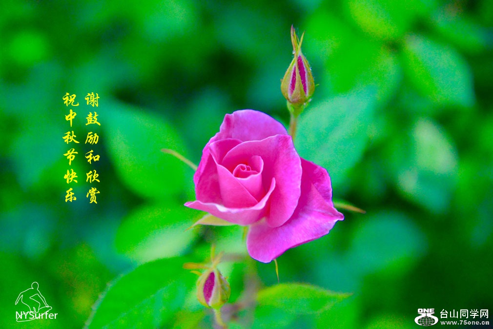 DSC_3036_1024 copy.jpg