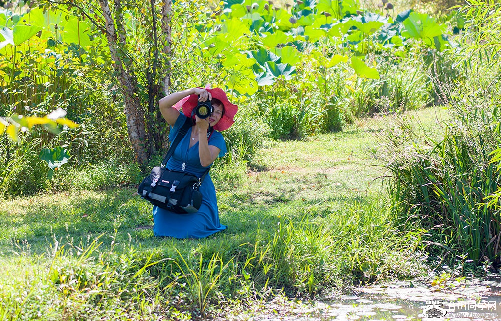 DSC_6464.jpg