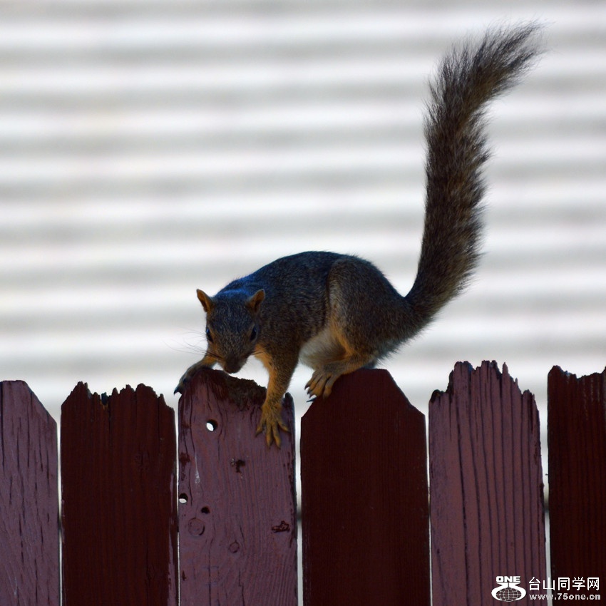 DSC_9833_24.jpg