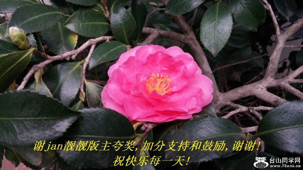 лjan佱,ӷֺ֧͹,лл!ףÿһ!.jpg