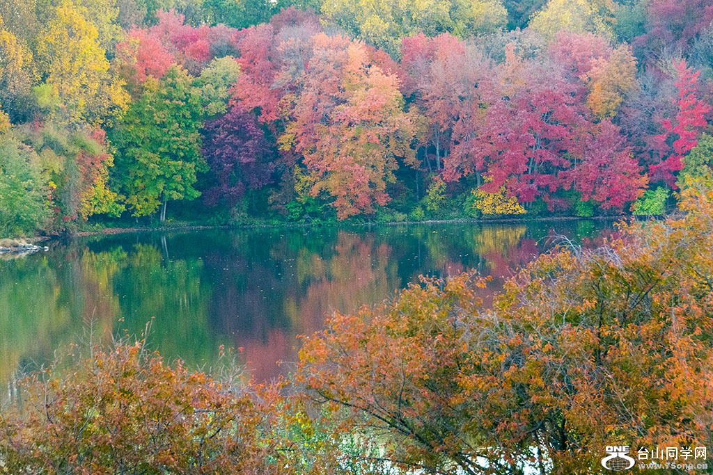 DSC_8597.jpg