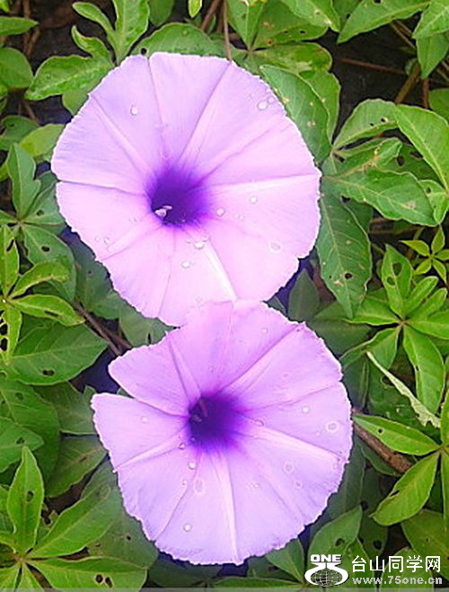 14_conew10_.jpg
