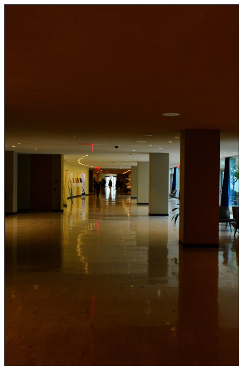 06.jpg