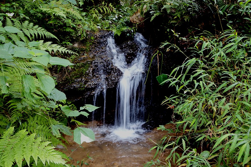 DSCF8450.JPG